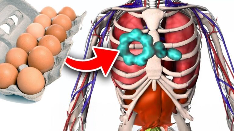 Beaucoup ignorent que ces 10 aliments cachent des allergies… Ne faites pas cette erreur !