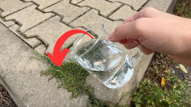 Cette méthode simple fait disparaître les mauvaises herbes en un clin d&rsquo;œil…