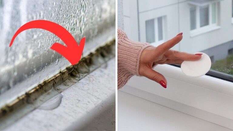 Cette astuce simple élimine la moisissure des fenêtres pour toujours…