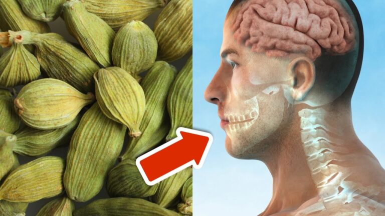 7 raisons de consommer du kardamome chaque jour pour une santé éclatante !