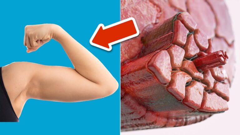 Transforme ton corps : 30 jours d&rsquo;entraînement bras pour des résultats inattendus !