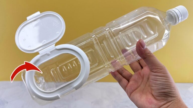 4 idées ingénieuses pour recycler vos bouteilles en plastique !