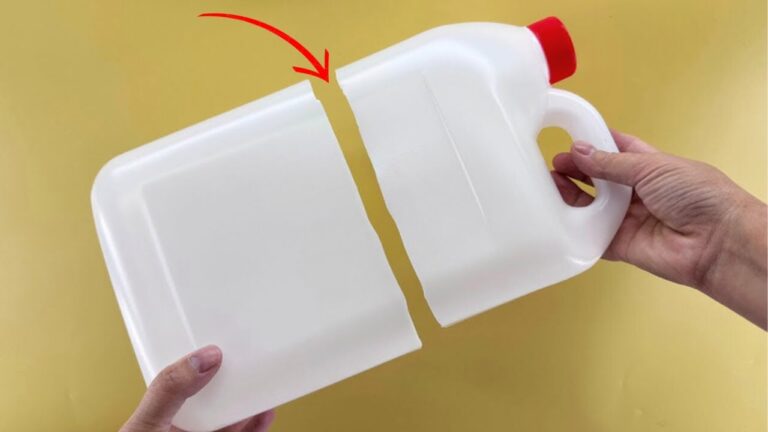 10 idées surprenantes pour recycler vos bouteilles en plastique !
