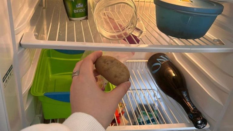 Mettez une pomme de terre au frigo : les résultats surprenants après 24 heures
