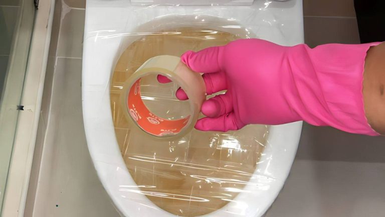 Toilettes bouchées : l&rsquo;astuce zéro coût des plombiers pour déboucher facilement