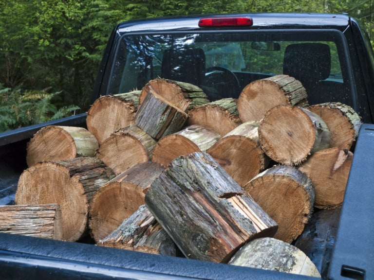 10 astuces efficaces pour récolter du bois de chauffage gratuit