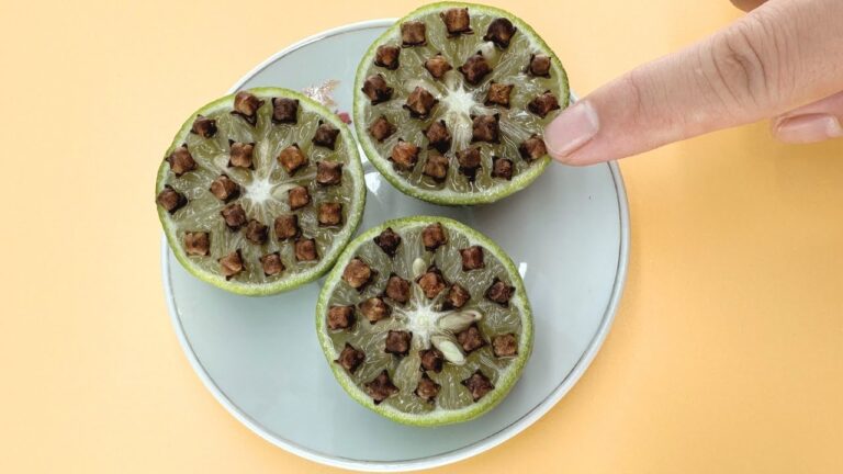 5 raisons surprenantes de mettre des clous de girofle dans un citron !