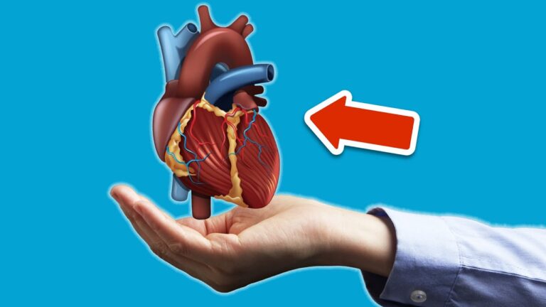 7 signes précurseurs d&rsquo;une maladie cardiaque à ne jamais ignorer pour votre santé !
