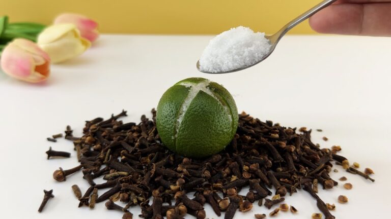 5 recettes miracles pour une maison parfumée et sans nuisibles !