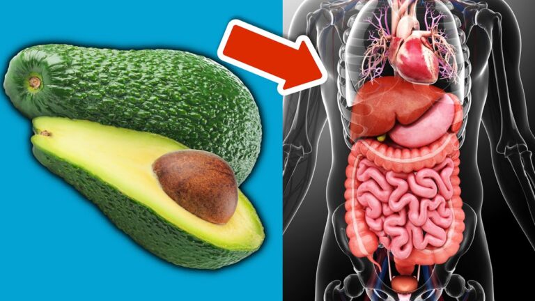 7 bienfaits surprenants de manger de l&rsquo;avocat chaque jour pour ton corps ! 🍏