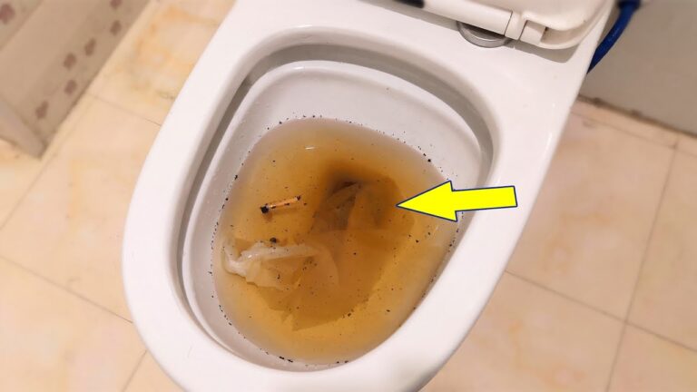 Débouche ton WC en 3 minutes avec cette astuce gratuite et efficace !