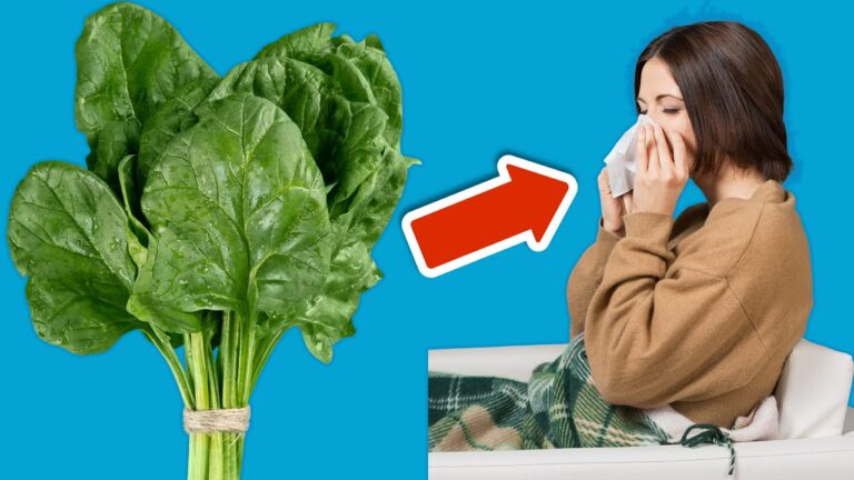 Renforce ton immunité avec ces 6 aliments pour ne plus jamais être malade !