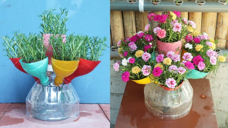 Transformez 5 bouteilles en plastique en un jardin magnifique de Portulaca !