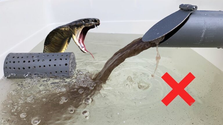 5 astuces pour un traitement des eaux usées efficace avec des canettes et des tuyaux PVC