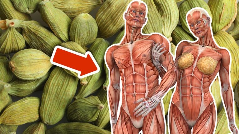 Découvrez 5 bienfaits incroyables du kardamome à intégrer chaque jour dans votre routine !