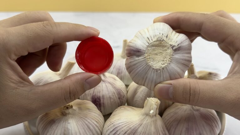 5 astuces secrètes pour peler 20 gousses d&rsquo;ail en 20 secondes !