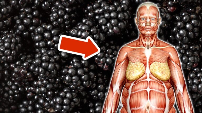 Découvrez 7 bienfaits surprenants à manger des mûres tous les jours !