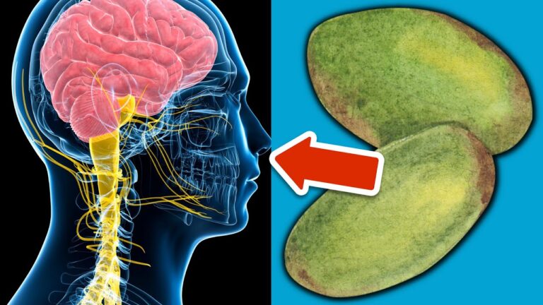 7 aliments surprenants pour réparer les nerfs et booster votre santé !