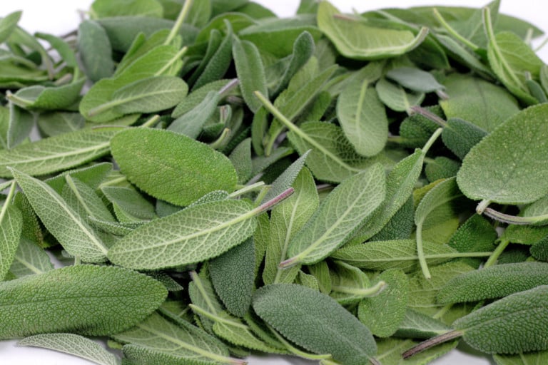 14 idées innovantes pour utiliser les feuilles de sauge